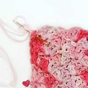 Strawberry Delight Gift Card Holder Luxe Lace Gift Card Holder