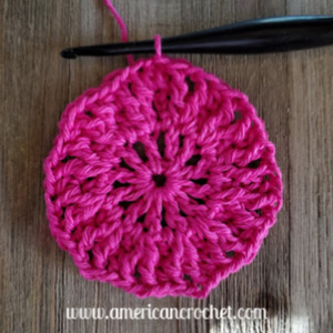 Hippity Hoppity Mini Bag | American Crochet @americancrochet.com