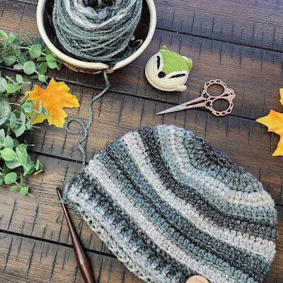 Easy Textured Crochet Beanie | The Loft Hat